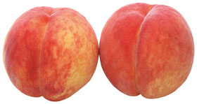 CocoRo♡farm 高級!ワッサーのような桃（美郷）8kg CocoRo♡farm 高級!ワッサーのような桃（美郷）8kg